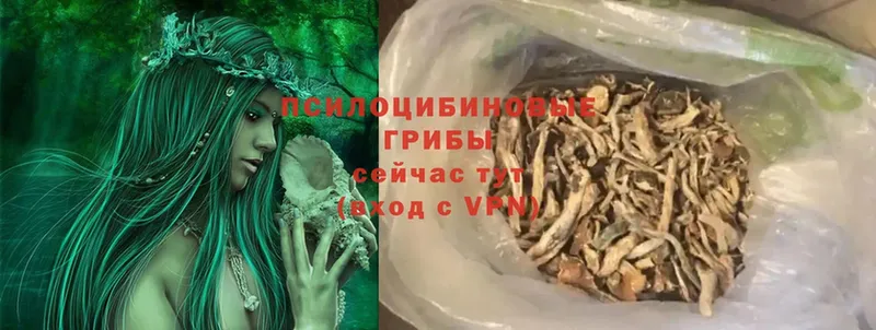 Галлюциногенные грибы MAGIC MUSHROOMS  Павлово 